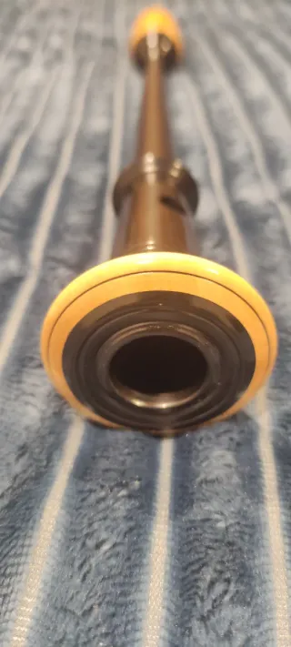 Puntero Gaita Gallega