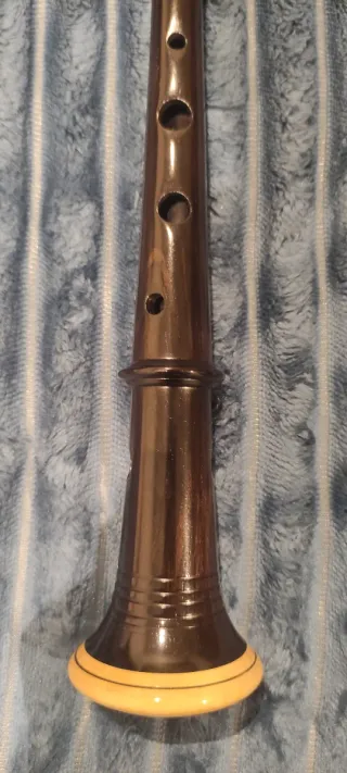 Puntero Gaita Gallega