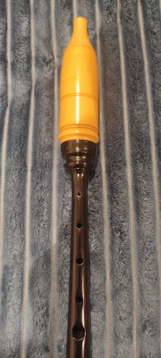 Puntero Gaita Gallega