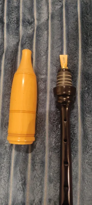 Puntero Gaita Gallega