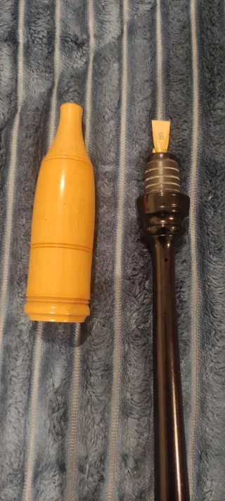 Puntero Gaita Gallega