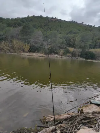 Caña de pesca Carpfishing K KARP, CARPFISHING