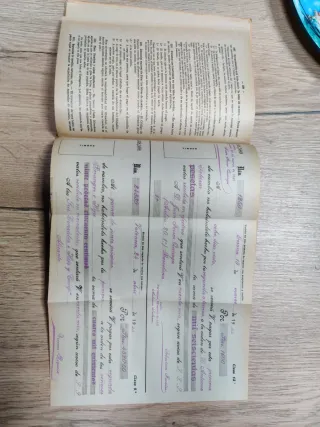 Aritmética razonada y nociones de álgebra.