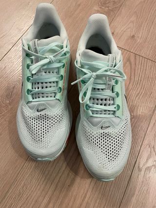 Nike Pegasus Premium