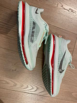 Nike Pegasus Premium