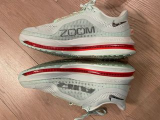 Nike Pegasus Premium