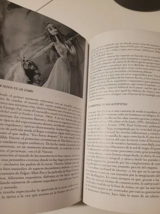 TIM BURTON: Diario de un soñador.