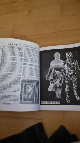 Medicinas blandas antimedicina