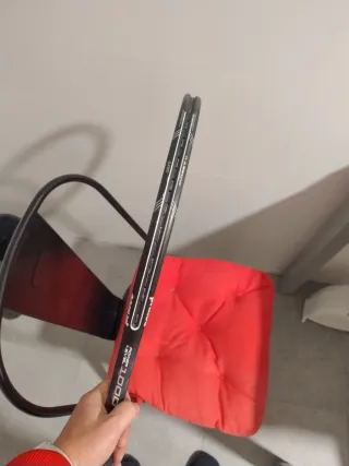 Raqueta Prince warrior 100