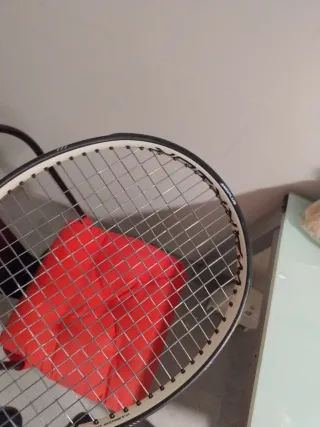 Raqueta Prince warrior 100