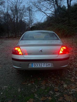Peugeot 407