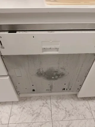 Lavavajillas Integrado Whirlpool