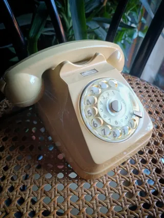 Telefono vintage beige con disco