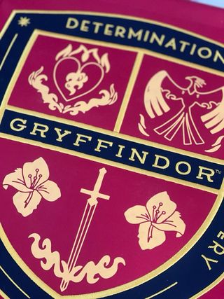 Bandera Gryffindor Universal Studios Harry Potter