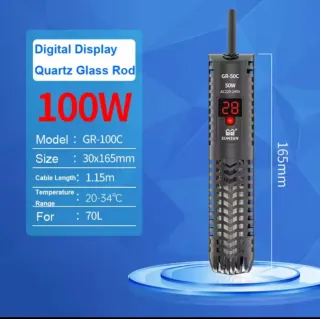 Acuario 60 litros Fondo de Bikini funcionando.