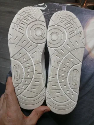 Tenis Lacoste Blancos Nuevos