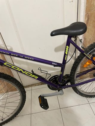 Bicicleta Morada Montaña