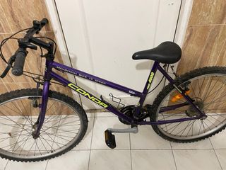 Bicicleta Morada Montaña