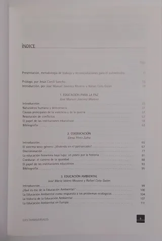 Fundamentacion y didáctica de ejes transversales.