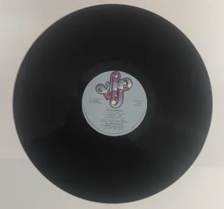 Village People Renaissance LP Vinile 1981