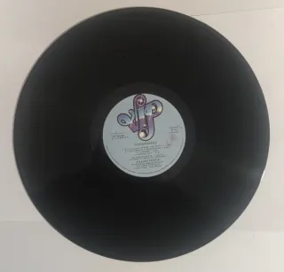 Village People Renaissance LP Vinile 1981