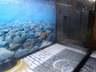 Pecera 100L con luz ,tiene bomba