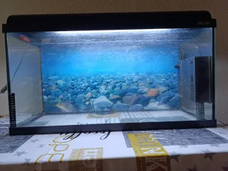 Pecera 100L con luz ,tiene bomba