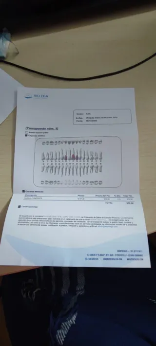 El Jardin: Guia Completa (Spanish Edition)