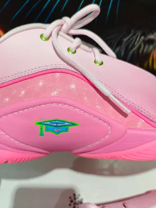 Nike LeBron 22 SN GS Rosa Multicolor, Niña