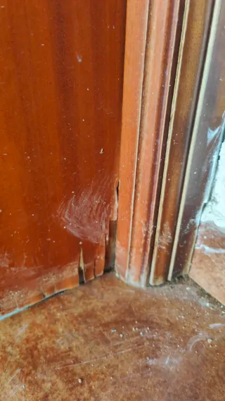 Puerta Cristal Grabado Virgen Rocío