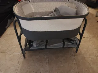 Minicuna colecho Giordani