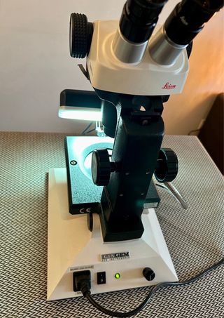 Microscopio Gemológico Gemolite Mark X