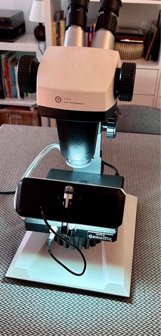 Microscopio Gemológico Gemolite Mark X