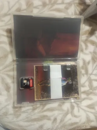 Stray Nintendo Switch