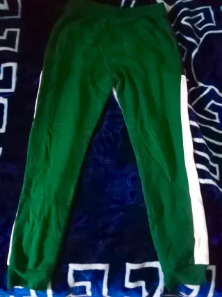 Conjunto Future Projects Verde