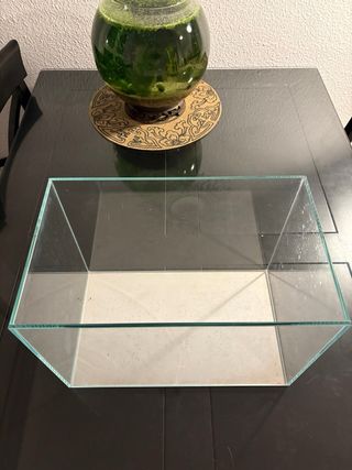 Acuario 50L + Luz LED, Filtro y Termostato