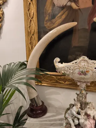 Colmillos Imitación Vintage años 70