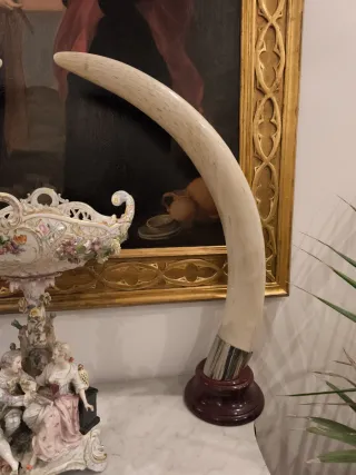 Colmillos Imitación Vintage años 70