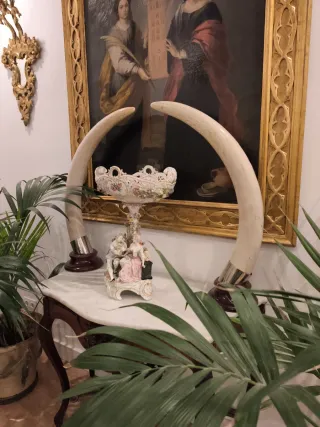 Colmillos Imitación Vintage años 70