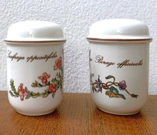 Villeroy & Boch Botanica Saliera + Pepiera