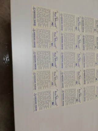 20 Cromos Adhesivos Miss Petticoat