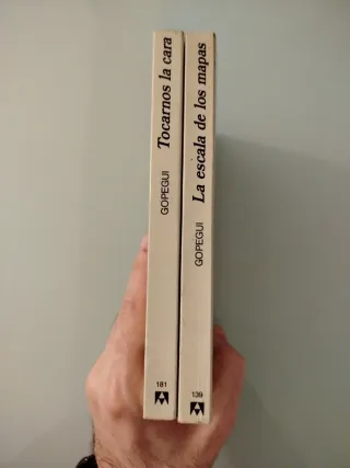 2x8€ Belén Gopegui