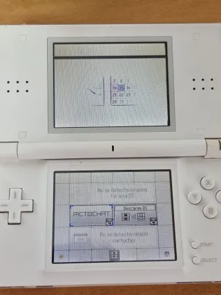 Lote de consolas Nintendo ds lite y juegos