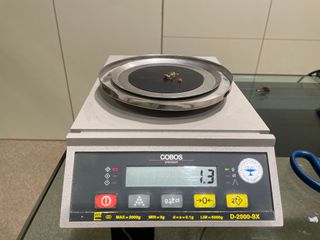 Pendientes Oro 18k Topacio Peony y Verde