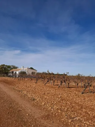 Se vende finca rustica