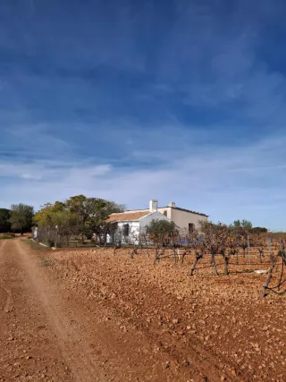 Se vende finca rustica