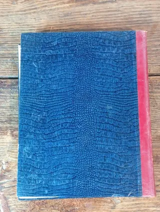 Livro antigo ilustrado sobre a Segunda Guerra Mund