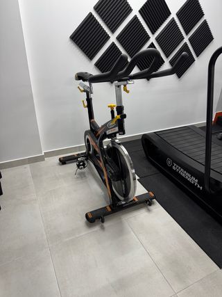 Bicicleta Spinning BH Duke