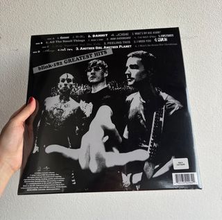 Blink 182 - Greatest Hits Vinyl