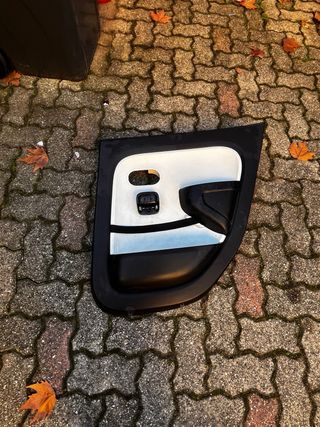 Pannello porta posteriore destra Renault Twingo